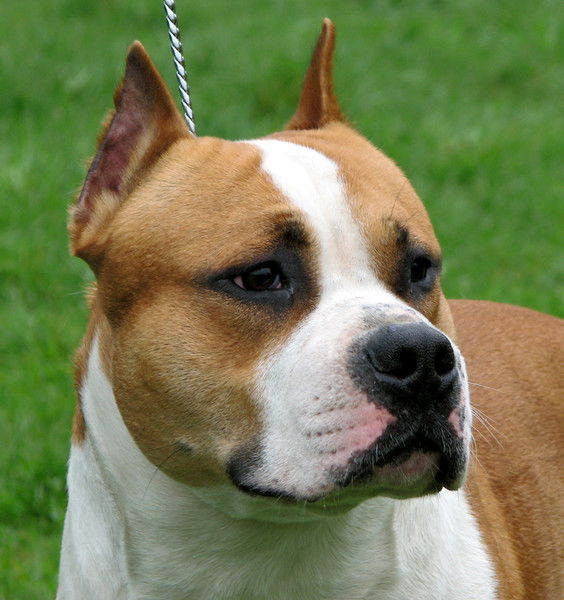 Безымянная Йа :dd