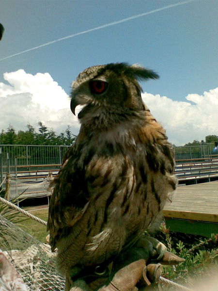 Степан Балашов