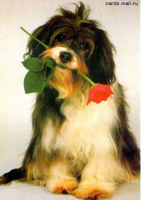 Руслан Колев