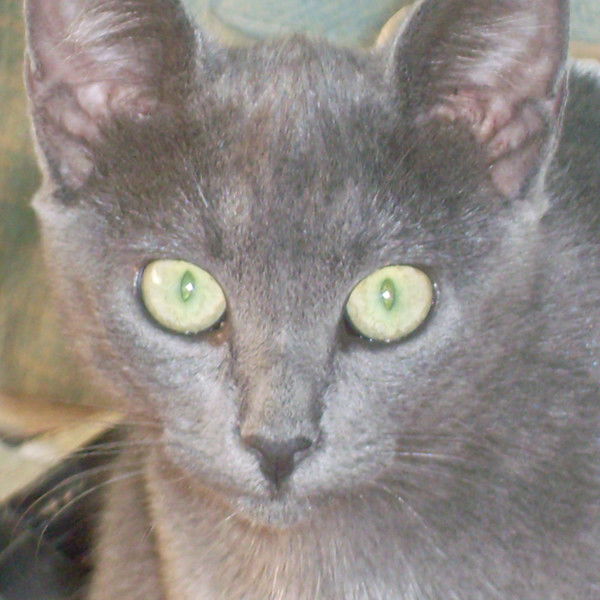 Надежда Березина(Мельникова)