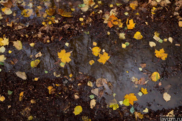 Мария Канакина