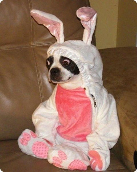 Макс Черепян