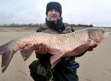 Юрий Асташов