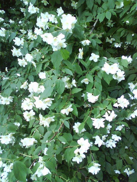 Татьяна Балуда