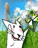 Александр Соколов