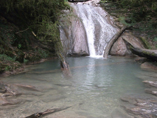 Елена Баркута