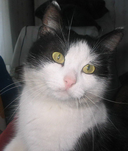 Лидия Старкова