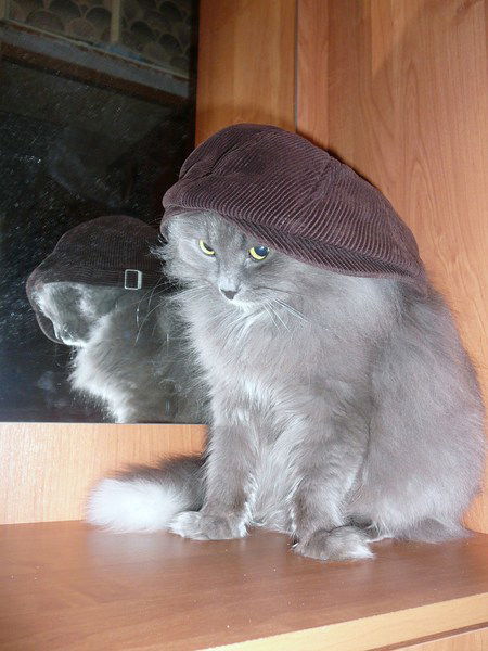 Славян Котов