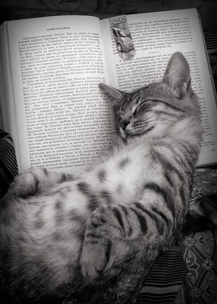 Сергей Пузиков