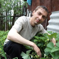 Алексей Горбачёв