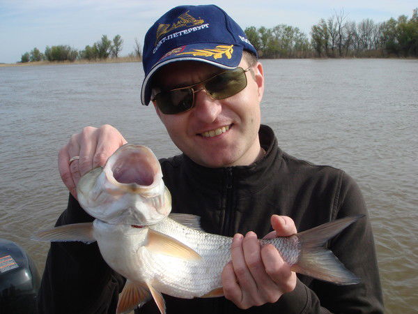 Владимир Шишкин