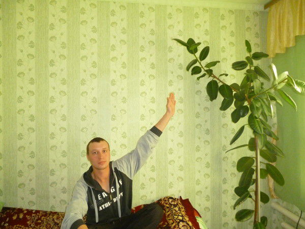 Ден Корнеев