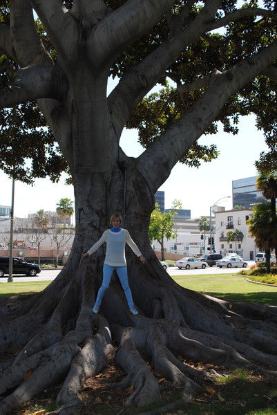 Елена Симонова(Федотова)