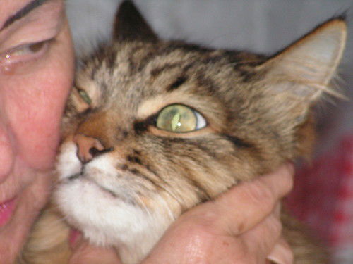 Виктор Гильзин