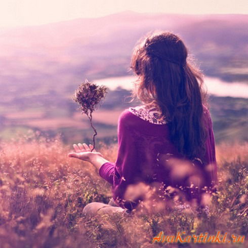 Анель Сулейменова