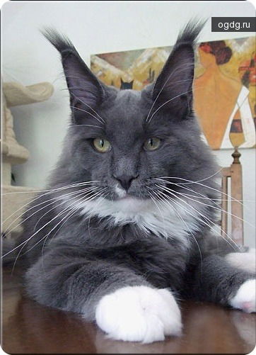 Алена Бунина