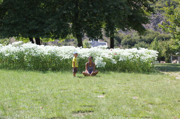 Александра Солоненко