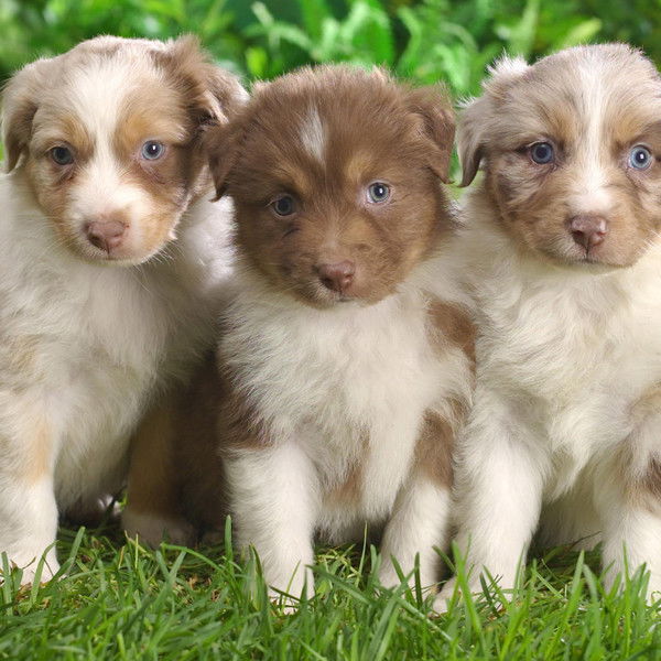 Женя Катунцева