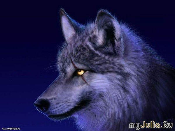 Павел Гумиров