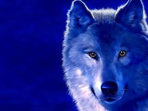 Константин Курский