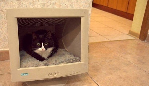 Оля Логвиненко