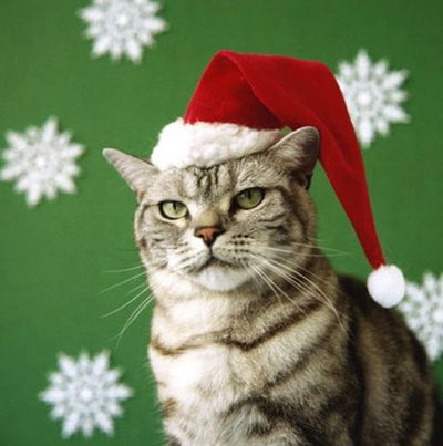 Андрей Головий