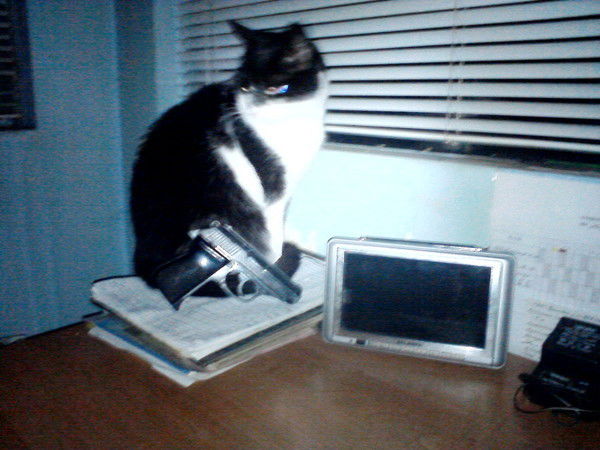 Алекс Феникс