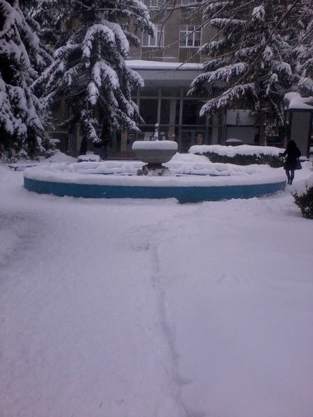 14 Группа Филологический Факультет