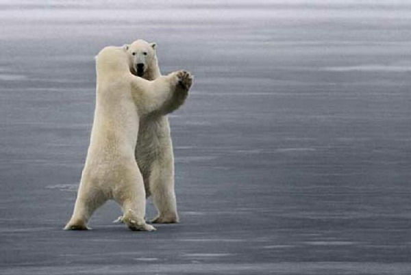 Ооо Акта-Консалтинг