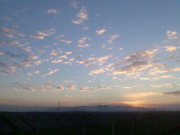 Сергей Попов