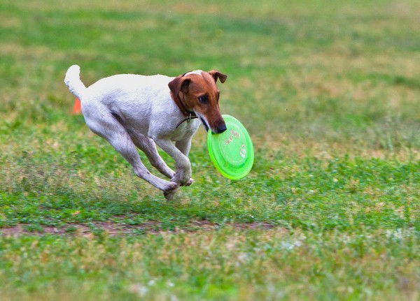 Марина Казакова