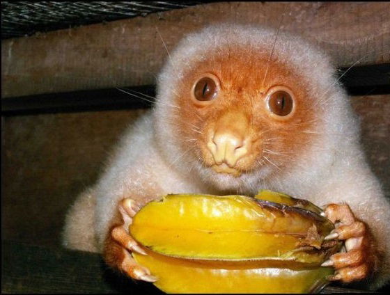 Андрей Бурма