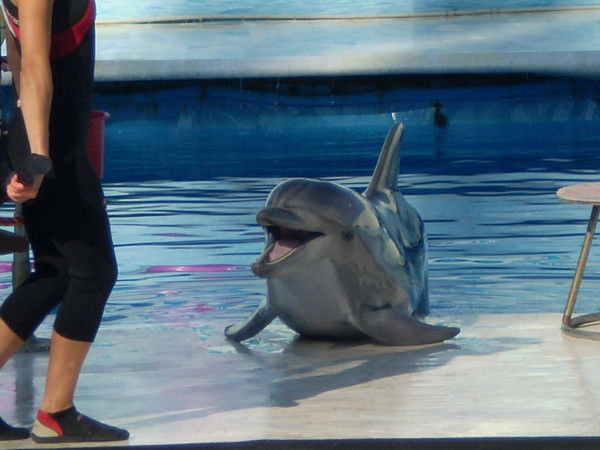 Наталья Тимчук