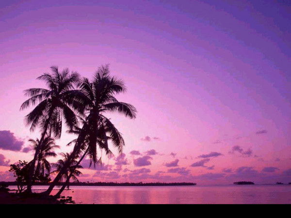 Елена Садыкова