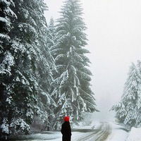 Аня Игнатьева