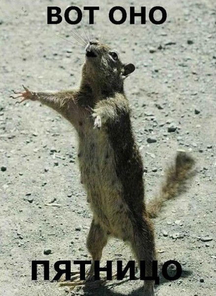 Яков Стариков