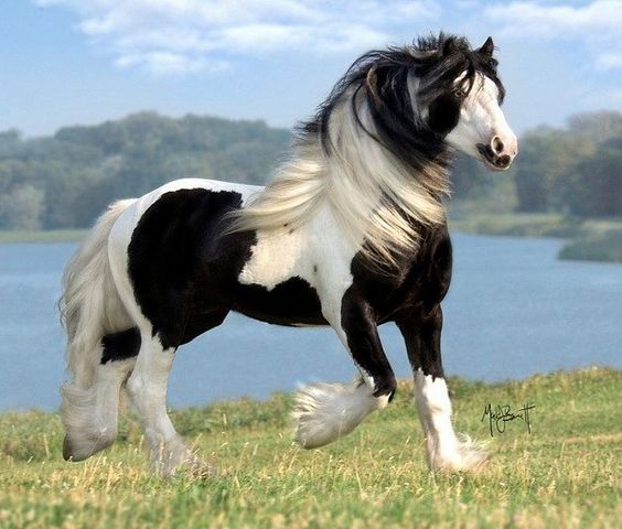 Ирина Долгих