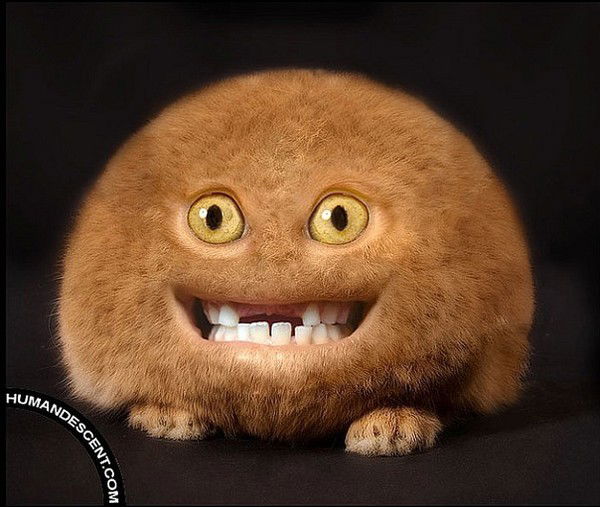 Любовь Кетько