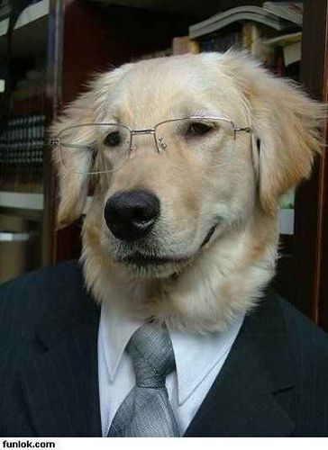 Евгений Степаненко