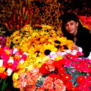 Елена Королева