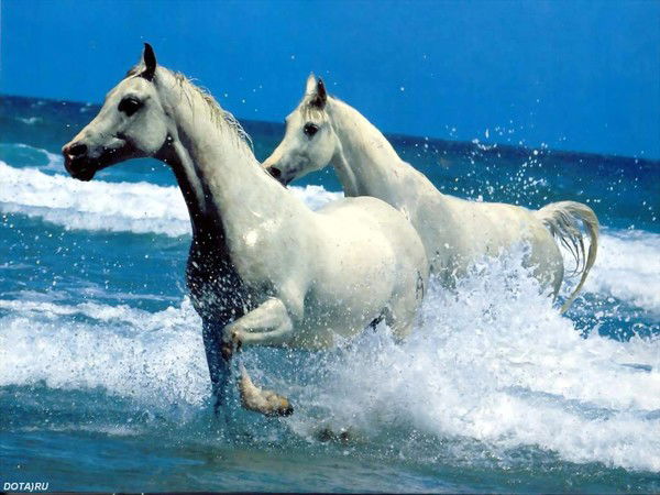 Аня Ксенофонтова