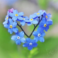 Елизавета Протасова