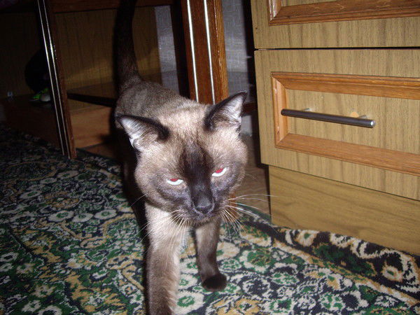 Павел Тихонов