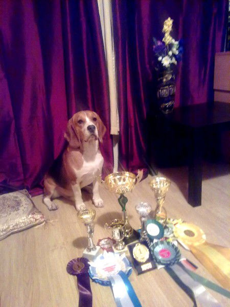 Светлана Белоусова