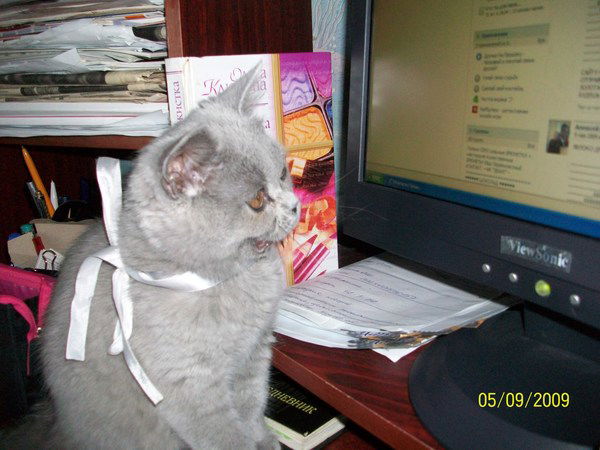 Елена Фролова