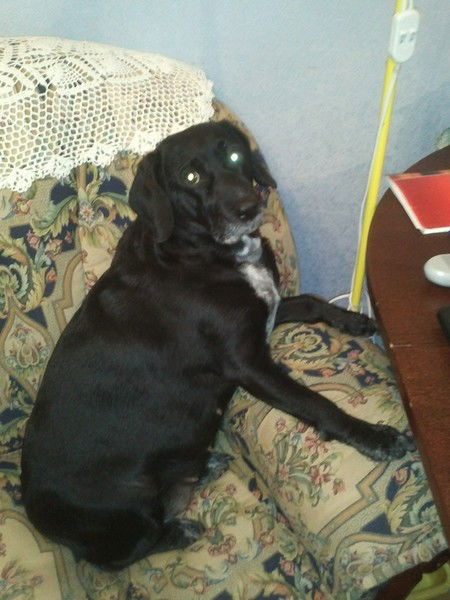 Ирина Шилина