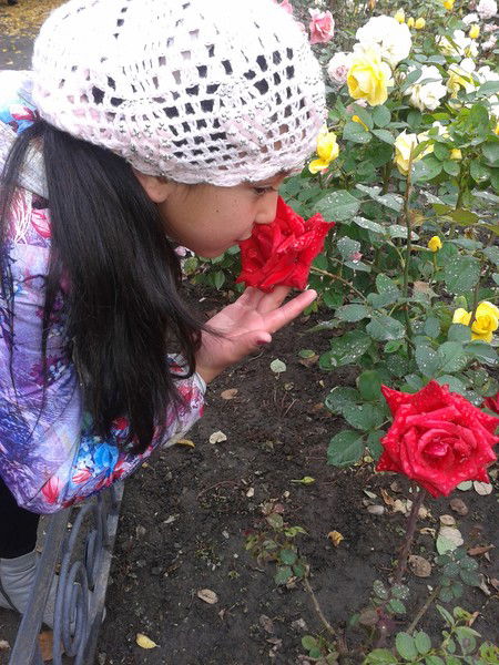 Дамира Туратауова