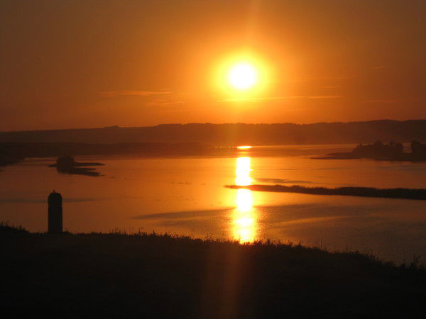 Татьяна Шевелева