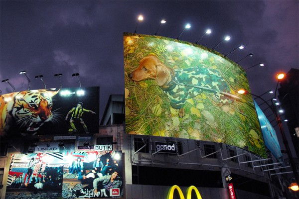 Наталья Охотина