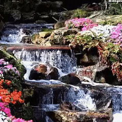 Саша Столяров